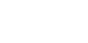 Apex Export Products LTD Logo